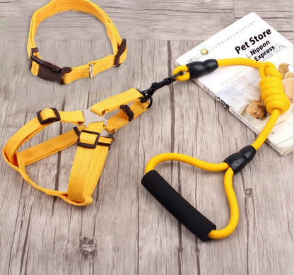 dog chain, dog collar, pet harness rope