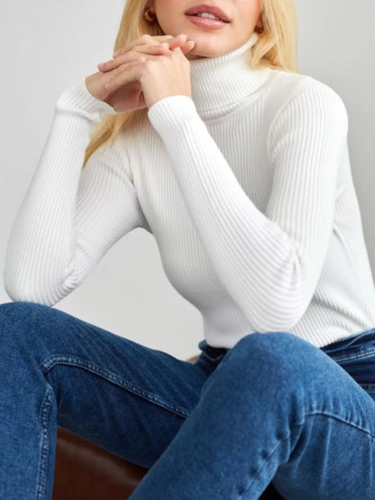 Full Size Ribbed Knit Turtleneck Sweater Plus Size