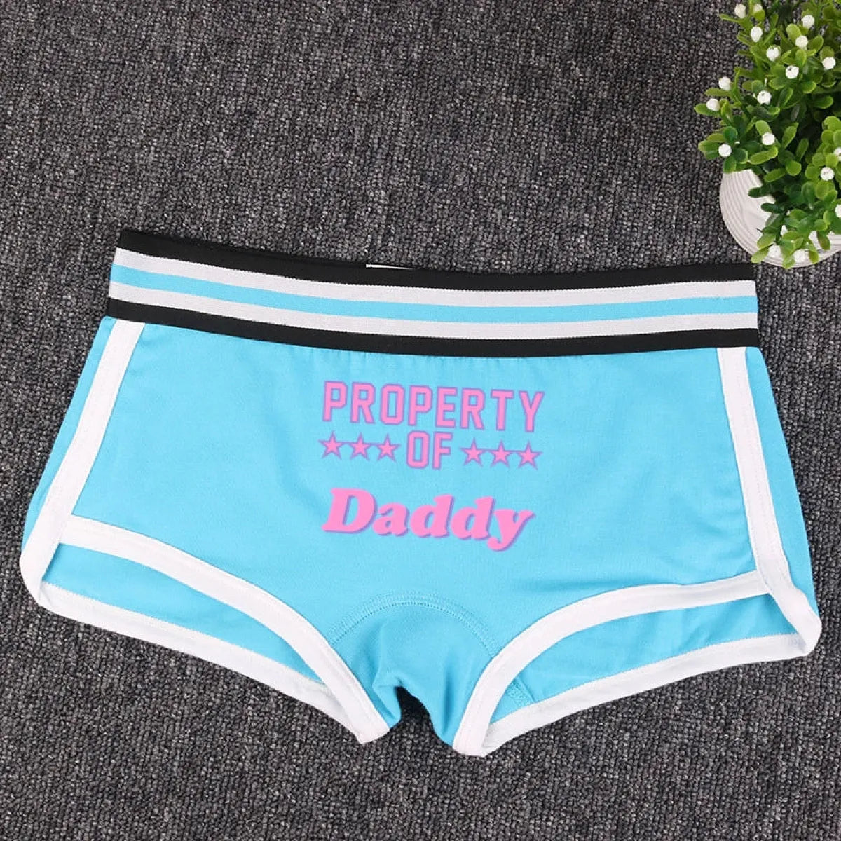"PROPERTY OF DADDY" BoyShort - Cute Cotton Women&