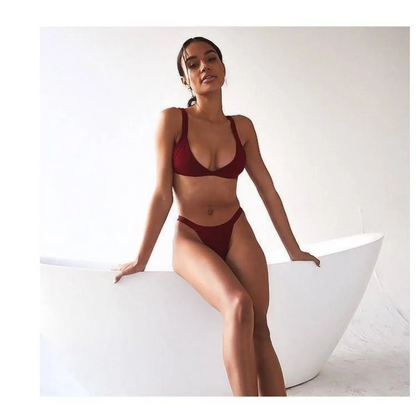 Deep-V Bikini Swimsuit