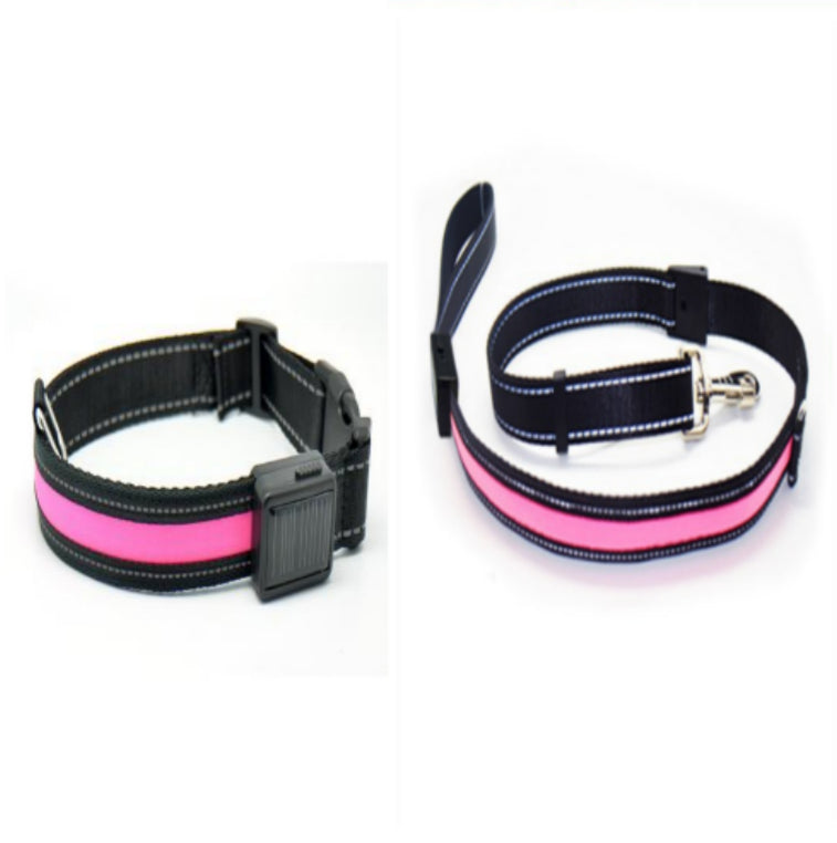 Fluorescent dog collar