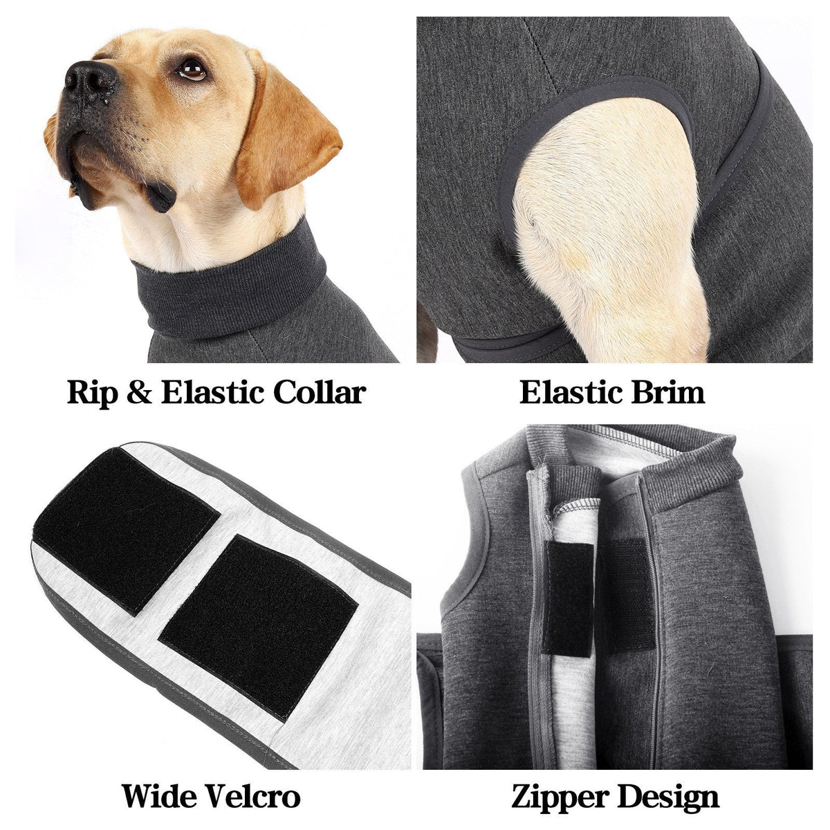 Pet Polyester Emotional Comfort Cotton Double Jacket Clothes
