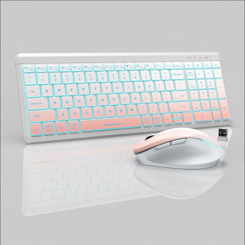 Wireless Bluetooth Dual-mode Charging Keyboard And Mouse Combination Suit Mute Ergonomic
