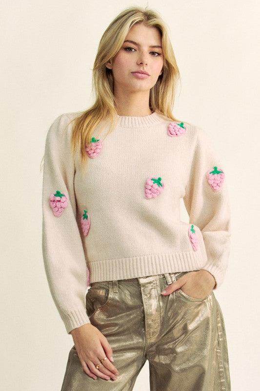 Davi &amp; Dani Crochet Strawberry Round Neck Sweater for Women