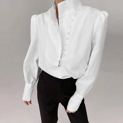 Elegant Turtleneck Blouse