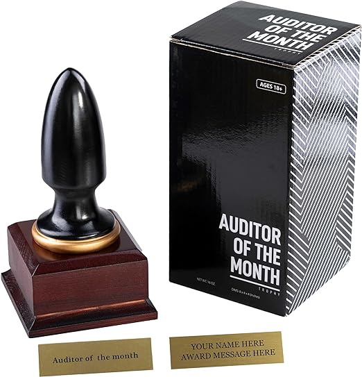 Everything Everywhere All Auditor of The Month Plug Throphy Custom