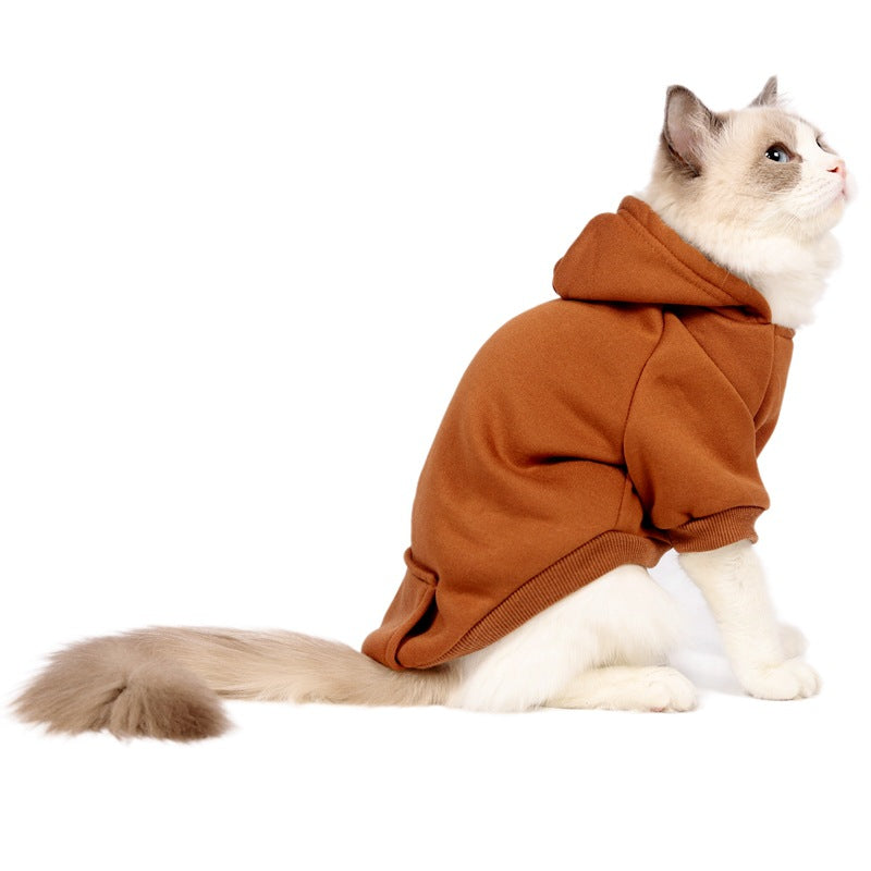 Small And Medium Sized Dogs Wearing Caps And Fleece Clothes
