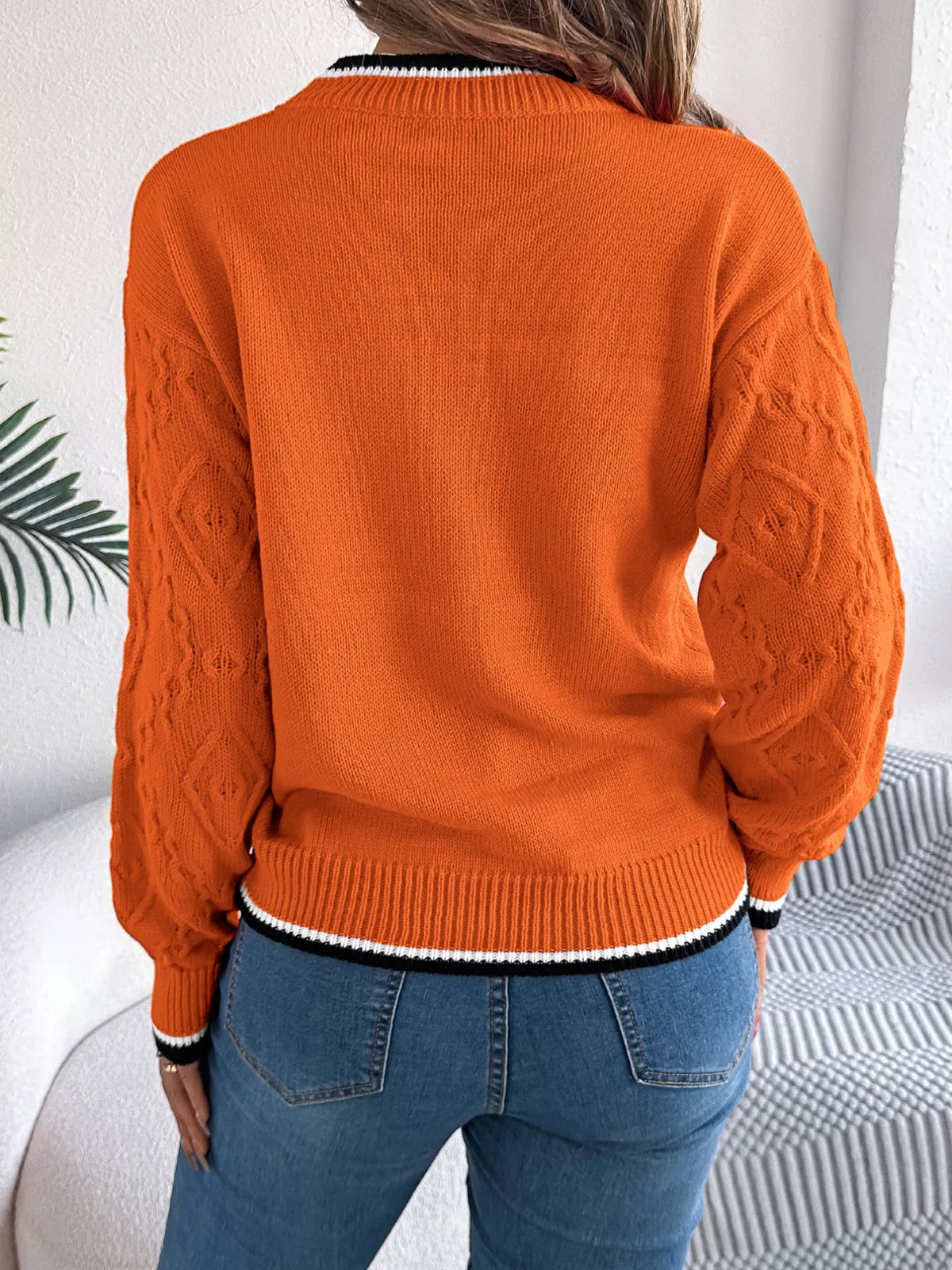 Contrast Trim Round Neck Sweater