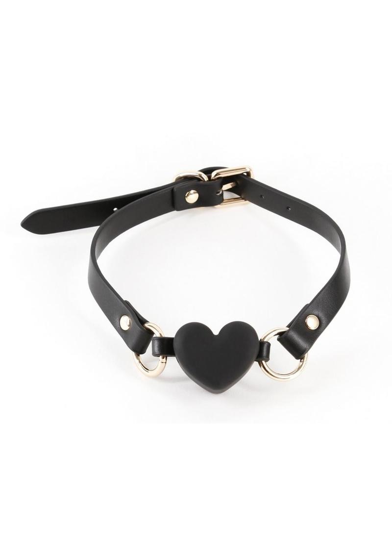 Fetish and Fashion Katherine Ball Gag
