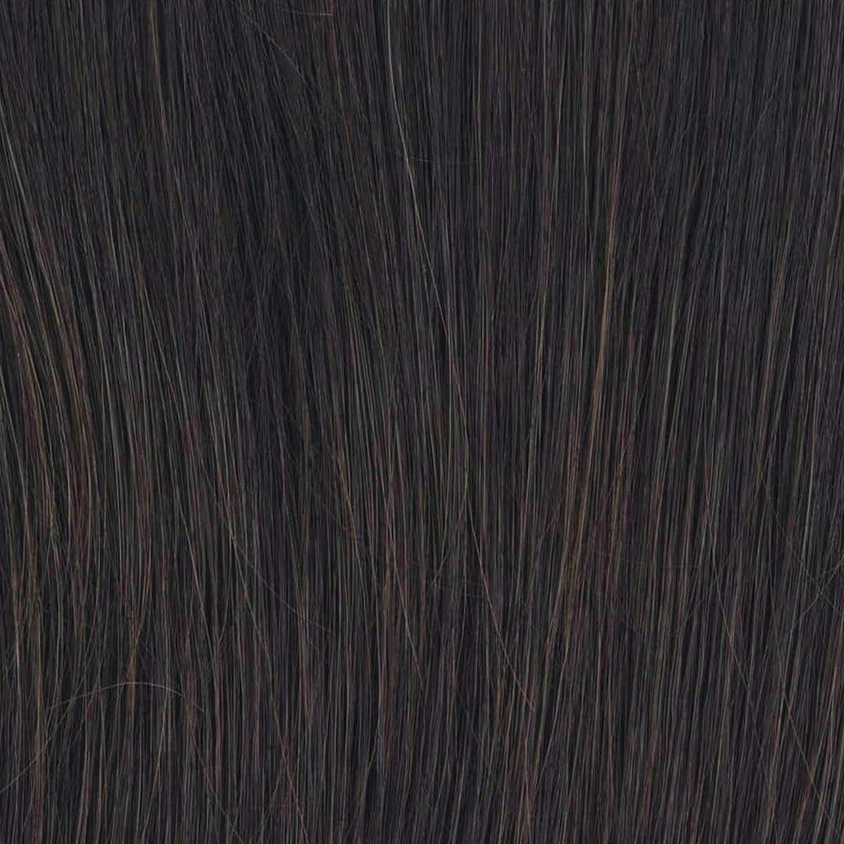 Raquel Welch Go to Style Wig New With Tags