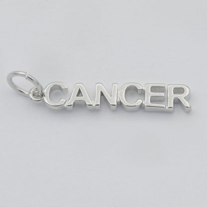 Gold Filled Zodiac Sign Script Words Mini Charm in Gold &amp; Silver | A-A1815-A-A1820 | A-A1839-A-A1844