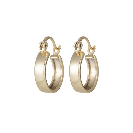Gold Hoop Earrings, Small Hoop Earrings, Medium Minimal Hoop Earrings, Dainty Hoop Earrings, Thick 14k Gold Filled Hoop Earrings Q-073 Q-288