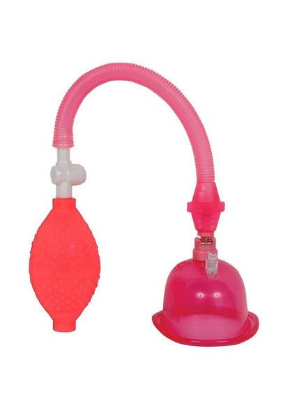 Doc Johnson Pussy Pump in a Bag Convenient and Compact