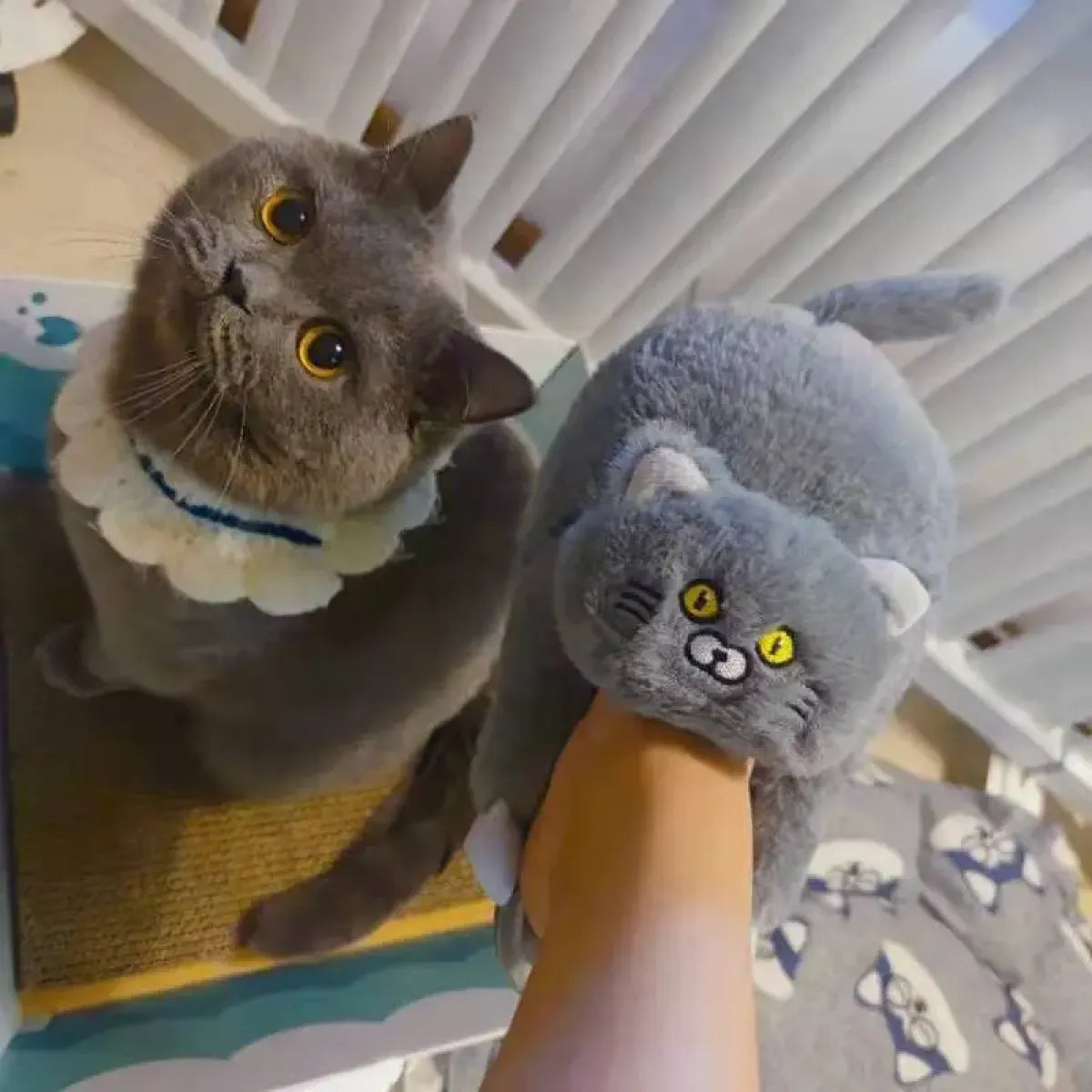 Kawaii Cat Winter Slippers for Women &amp; Men