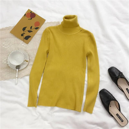 Thick Knitted Sweater