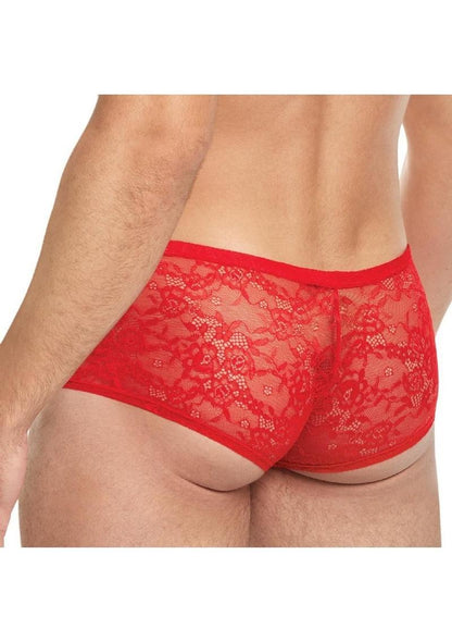 Lace King Low Rise Lace Trunks for Men Sheer Breathable Men’s Underwear