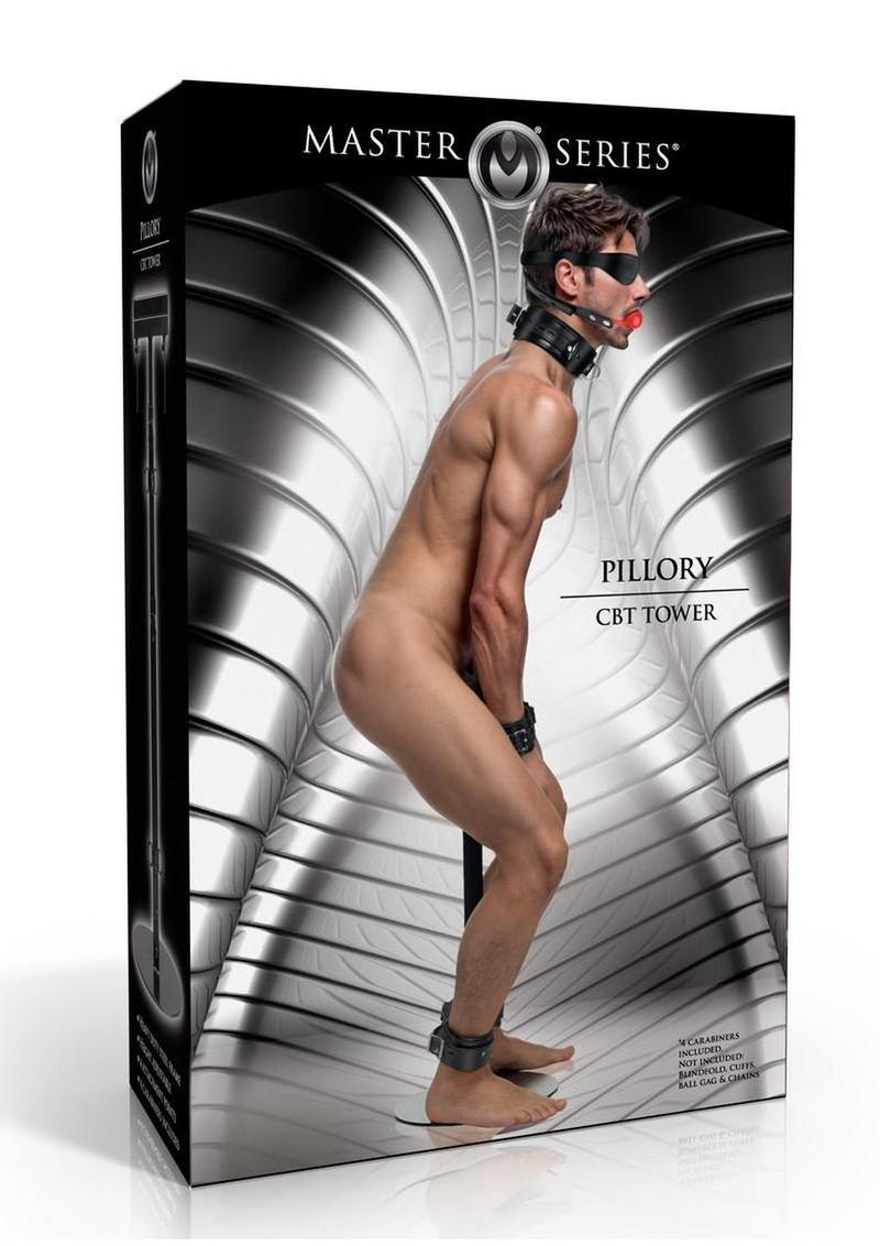 Master Series Pillory CBT Tower