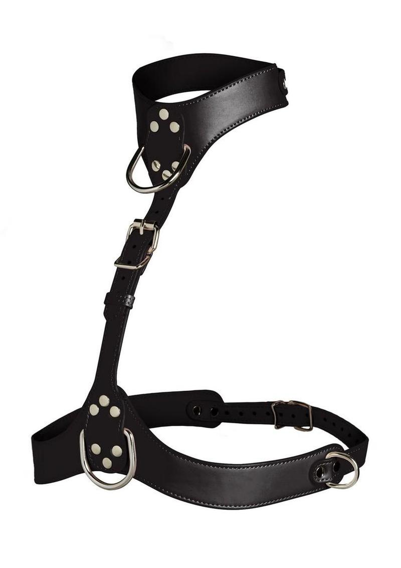 Master Series Vixen Female Chest Harness