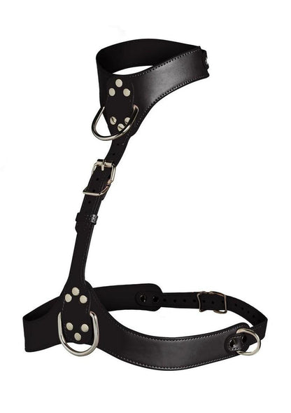Master Series Vixen Female Chest Harness