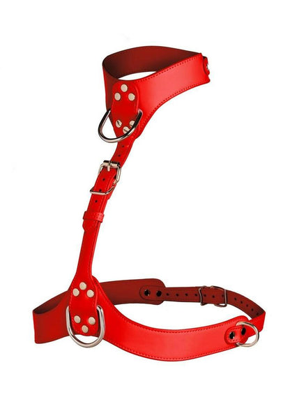 Master Series Vixen Female Chest Harness