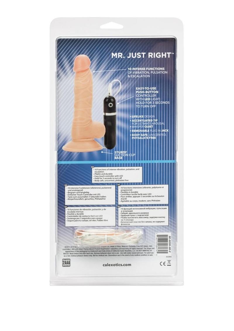 CalExotics Mr. Just Right Vibrating Dildo