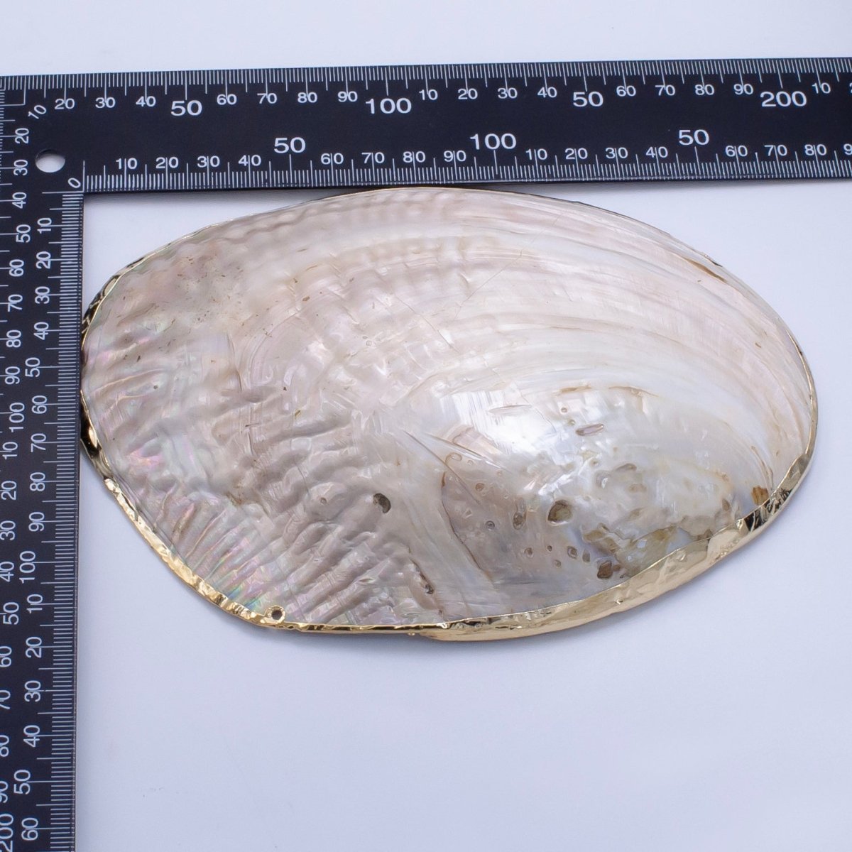 Natural Freshwater Pearl Tray in Gold &amp; Silver Findings | P1894