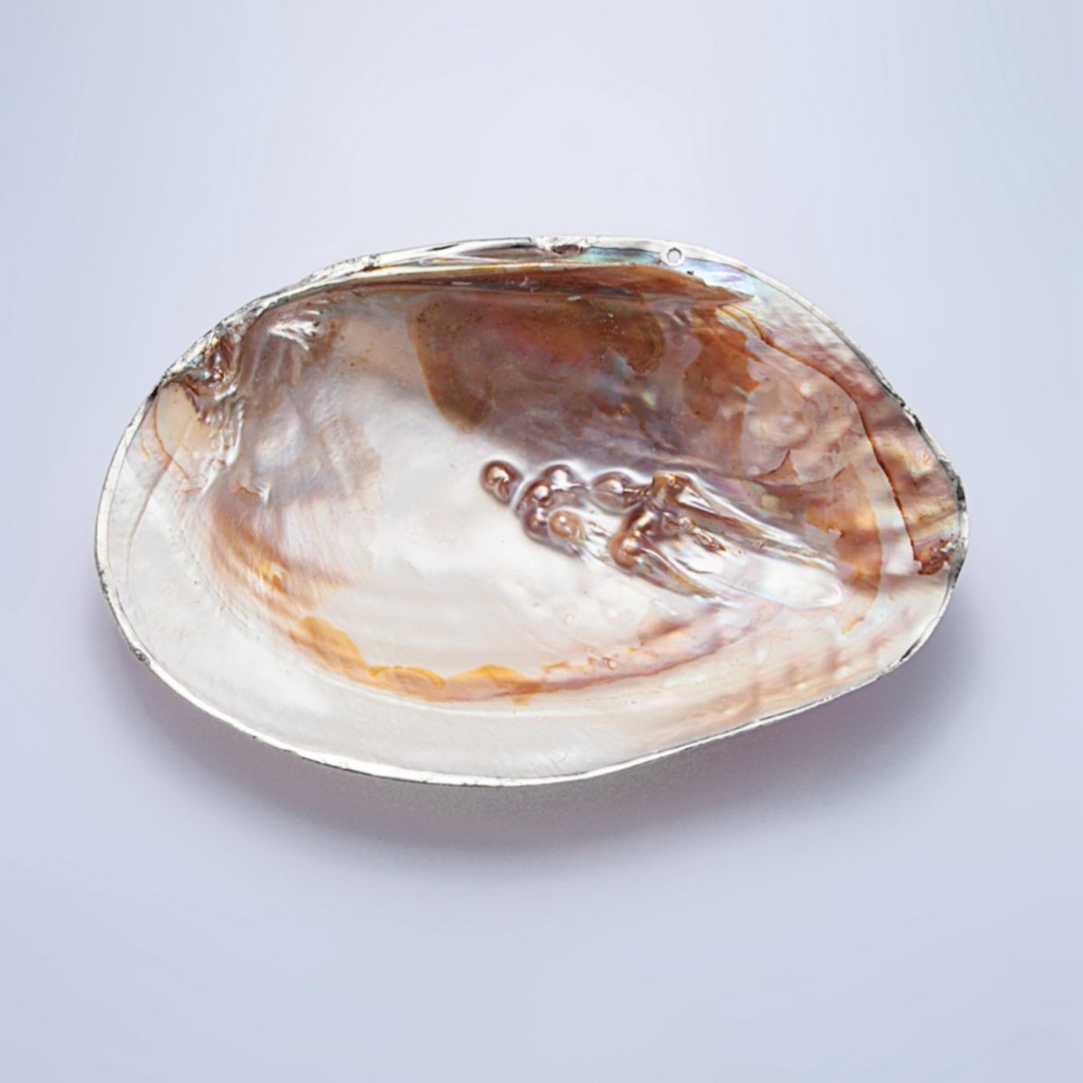 Natural Freshwater Pearl Tray in Gold &amp; Silver Findings | P1894