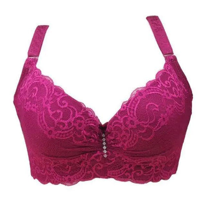 New Luxury Bras for Women&