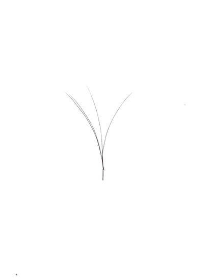 VIP V Type Easy Fan Lash Extensions 0.05 mm C Curl | 12-Line 8 mm Tray