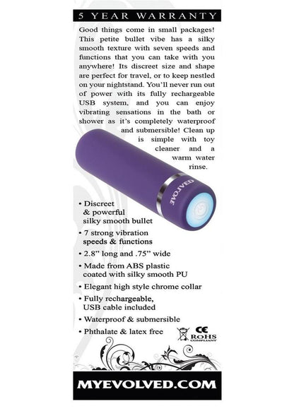 Purple Passion Rechargeable Silky Smooth Bullet Vibrating
