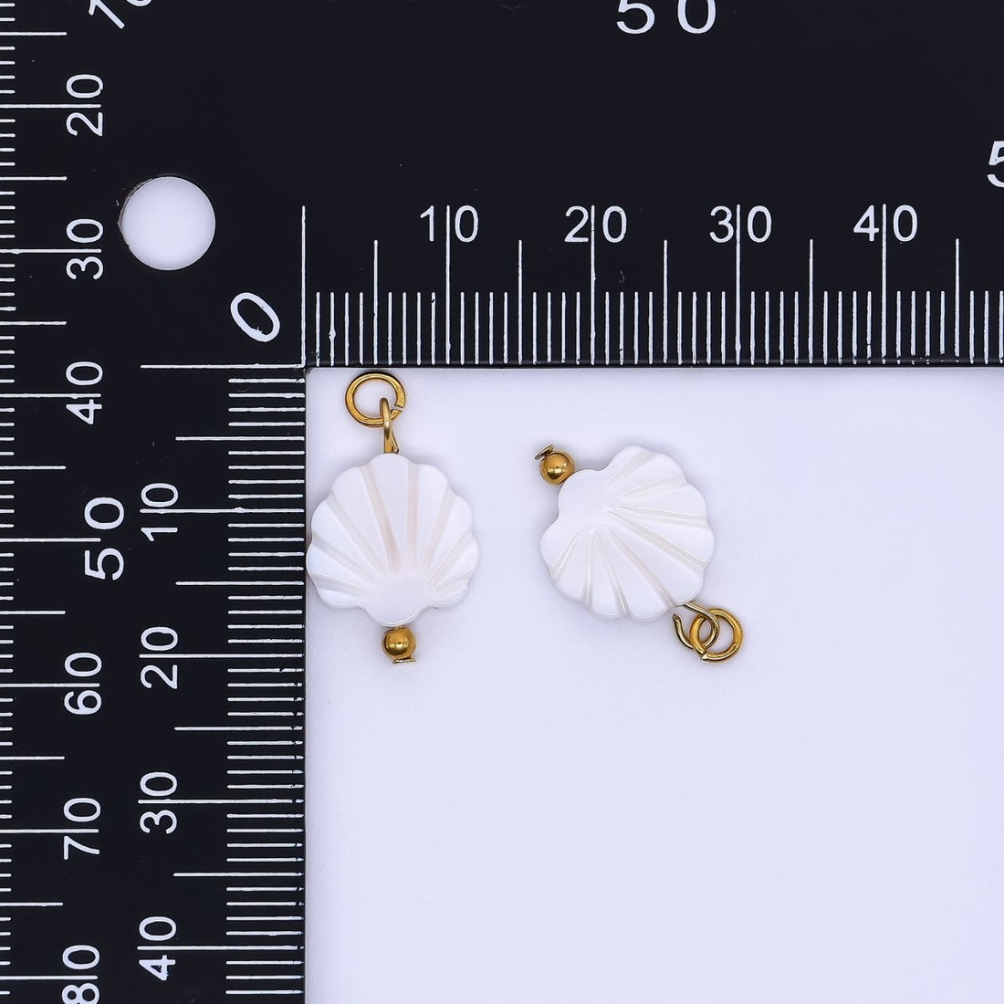 PVD Gold Plated Stainless Steel 18mm White Tide Scallop Seashell Charm | P1778