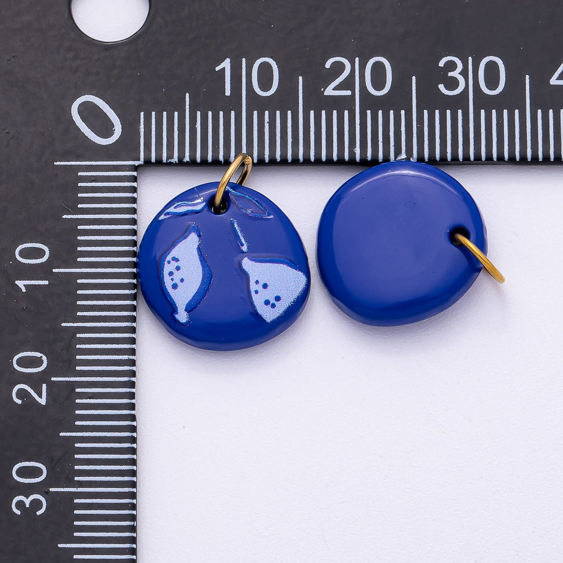 PVD Stainless Steel 15mm Blueberry Fruit Enamel Round Charm | Charms-00514
