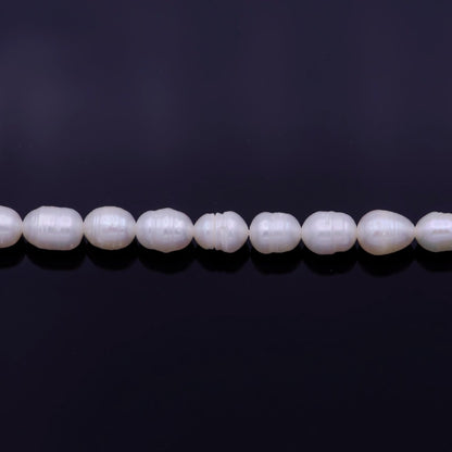 Ringed Natural AAA Freshwater Pearl 5mm x 6mm 43pcs Full Strand | WA-1330 Clearance Pricing