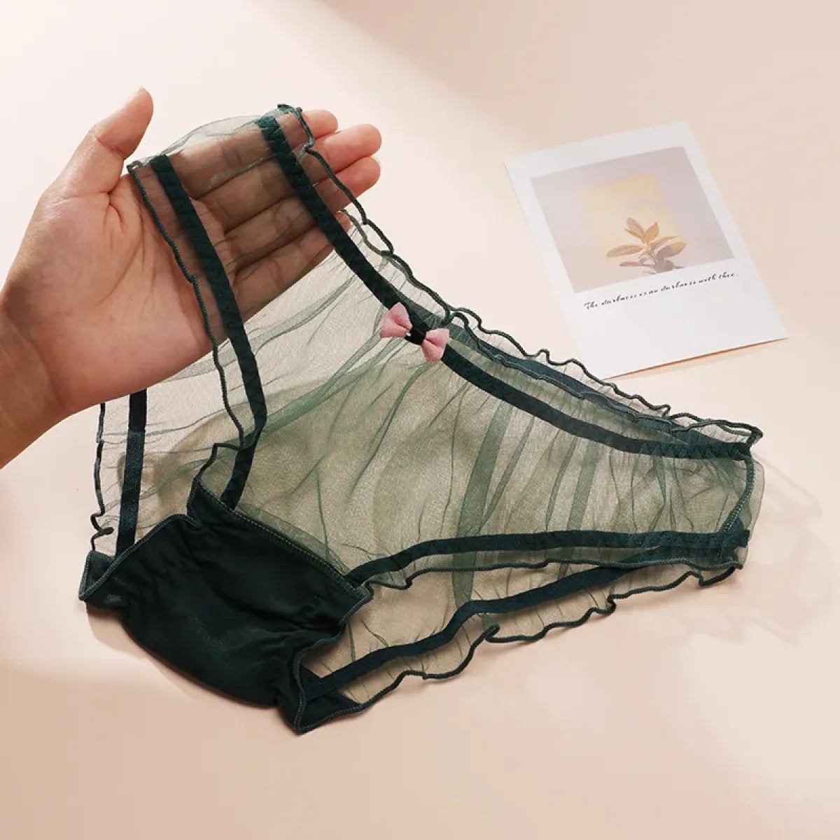 Sheer Lace Mesh Low Waist Panties with Bows – Sexy Transparent Lingerie