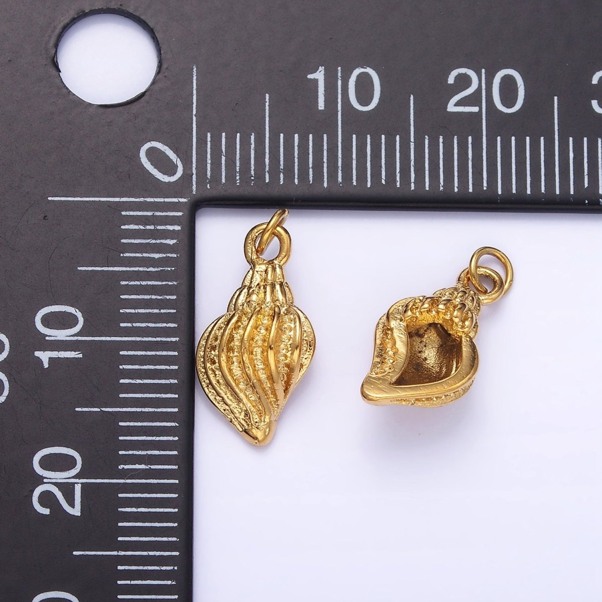 Stainless Steel 15mm Ocean Sea Clam Shell Minimalist Charm | P961