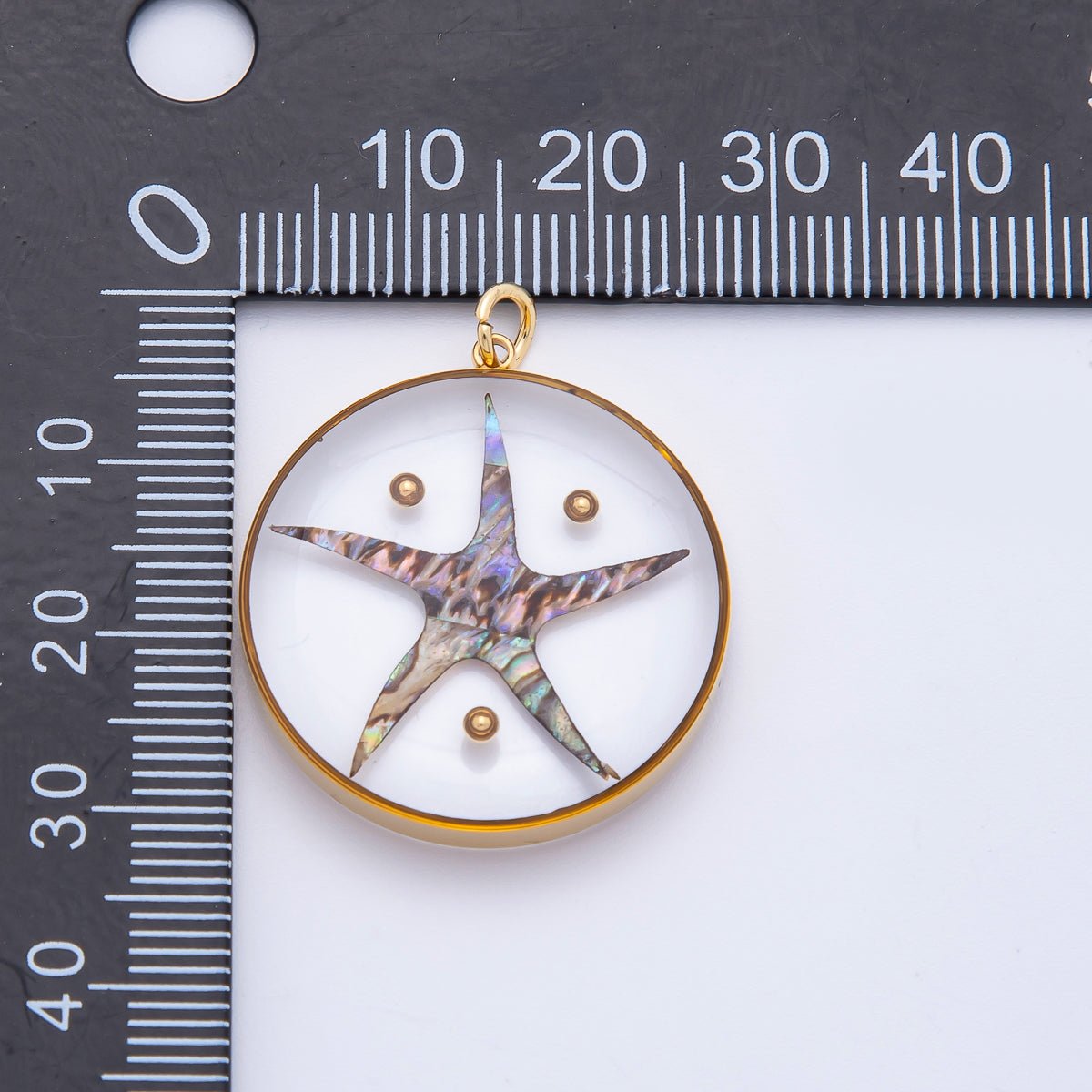 Stainless Steel 32.5mm Resin Under the Sea Starfish Charm | J804