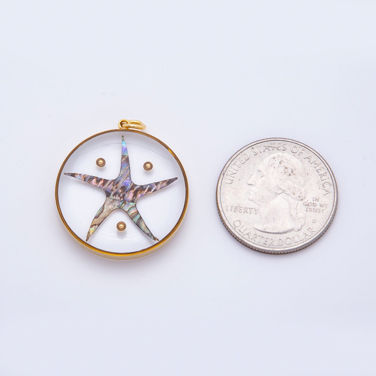 Stainless Steel 32.5mm Resin Under the Sea Starfish Charm | J804