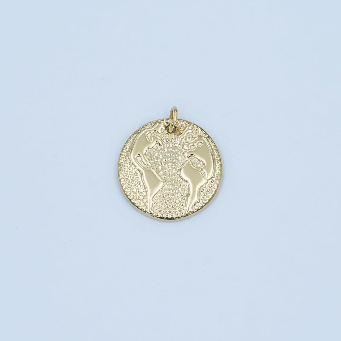 Stainless Steel Globe World Map Dotted Round Charm | P618