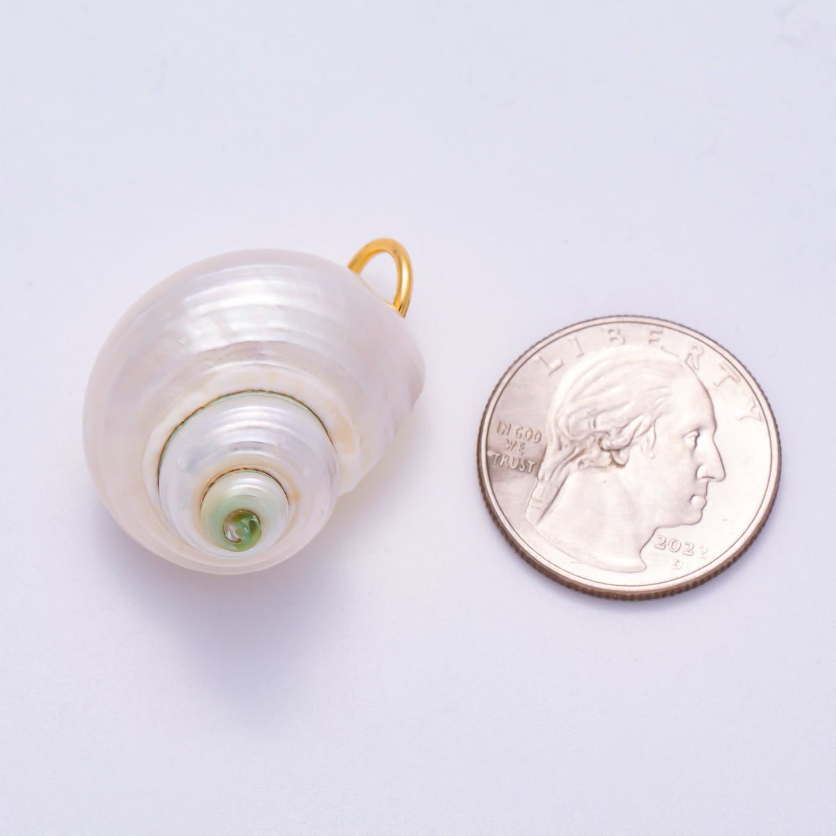 SUMMER 18K Gold Filled 31mm Freshwater Pearl Nautical Conch Sea Shell Charm | Charms-00554