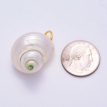 SUMMER 18K Gold Filled 31mm Freshwater Pearl Nautical Conch Sea Shell Charm | Charms-00554