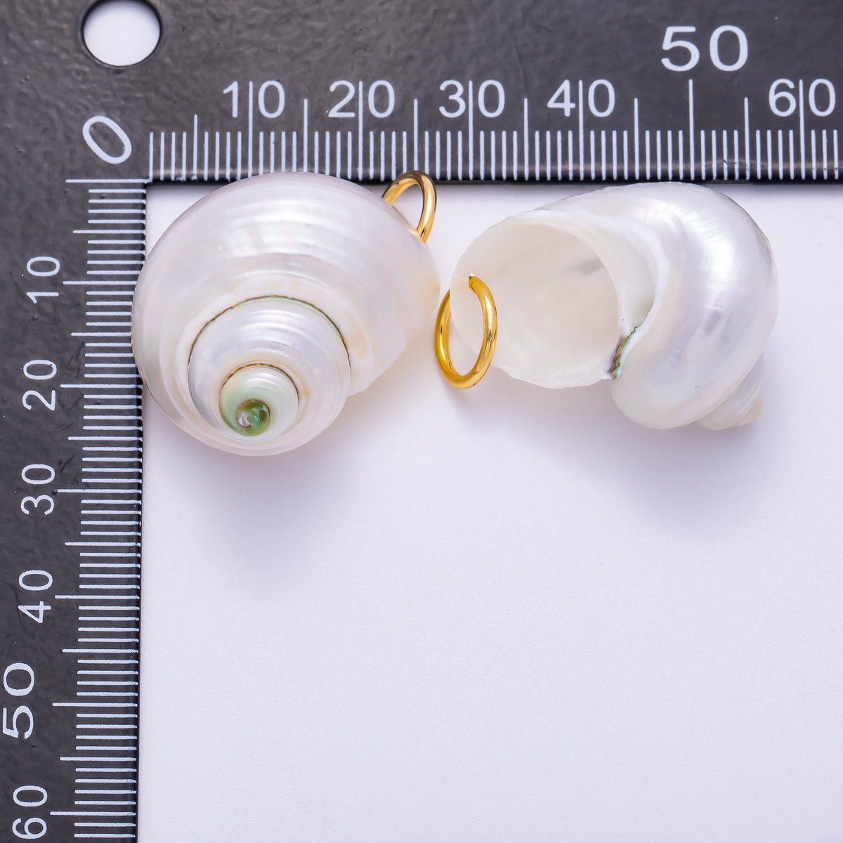 SUMMER 18K Gold Filled 31mm Freshwater Pearl Nautical Conch Sea Shell Charm | Charms-00554