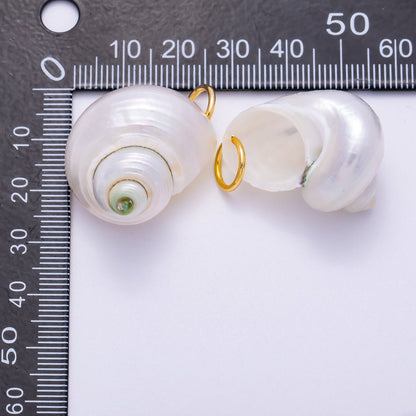 SUMMER 18K Gold Filled 31mm Freshwater Pearl Nautical Conch Sea Shell Charm | Charms-00554
