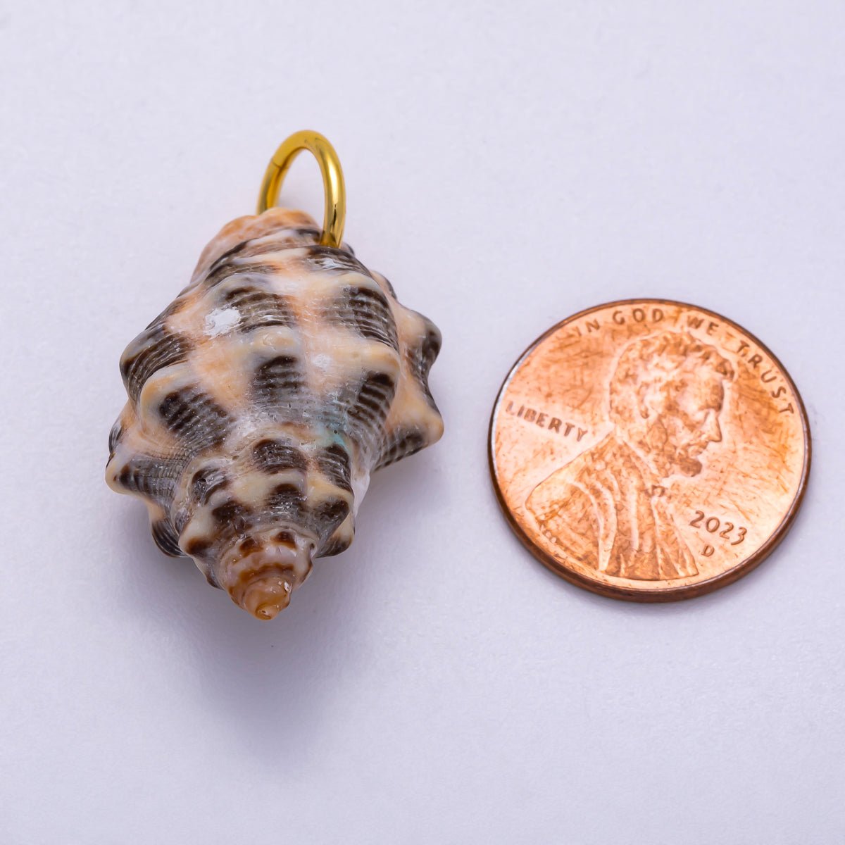 SUMMER 18K Gold Filled 31mm Natural Spotted Murex Conch Shell Charm | Charms-00558