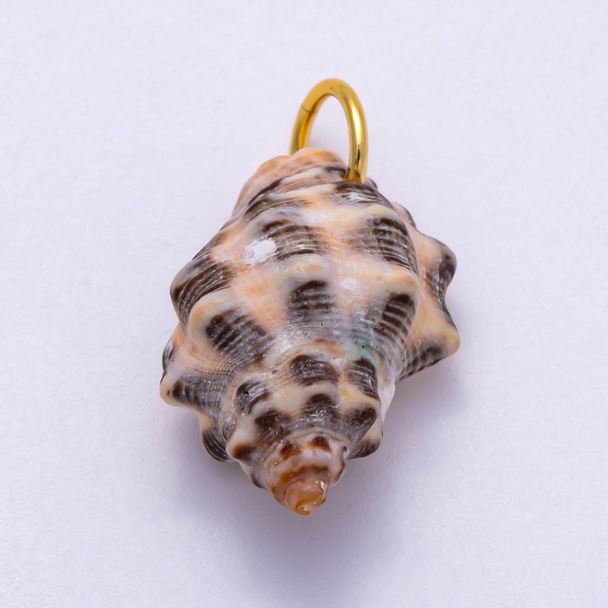 SUMMER 18K Gold Filled 31mm Natural Spotted Murex Conch Shell Charm | Charms-00558