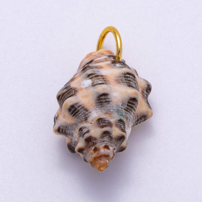 SUMMER 18K Gold Filled 31mm Natural Spotted Murex Conch Shell Charm | Charms-00558