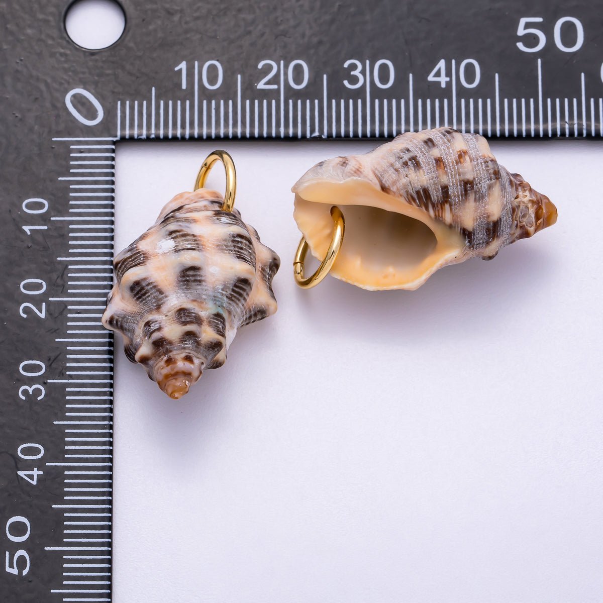 SUMMER 18K Gold Filled 31mm Natural Spotted Murex Conch Shell Charm | Charms-00558