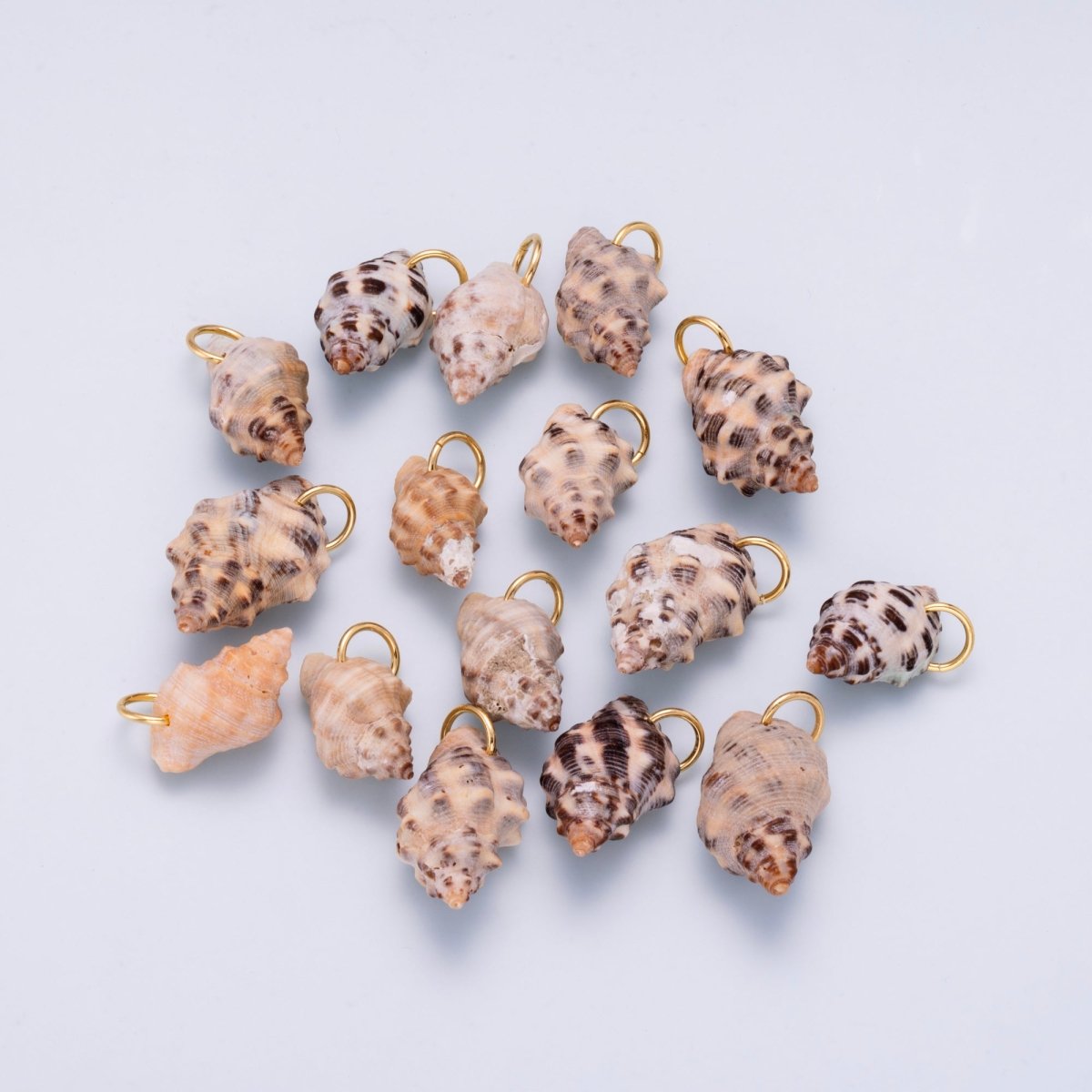 SUMMER 18K Gold Filled 31mm Natural Spotted Murex Conch Shell Charm | Charms-00558