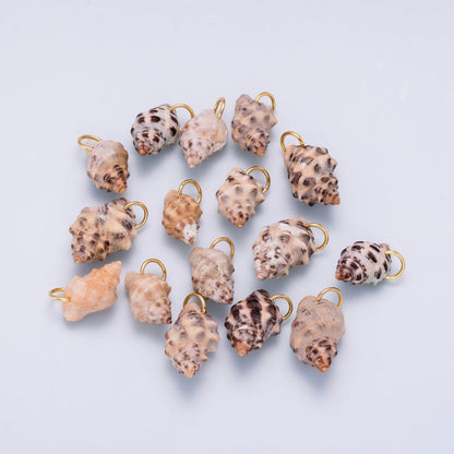 SUMMER 18K Gold Filled 31mm Natural Spotted Murex Conch Shell Charm | Charms-00558