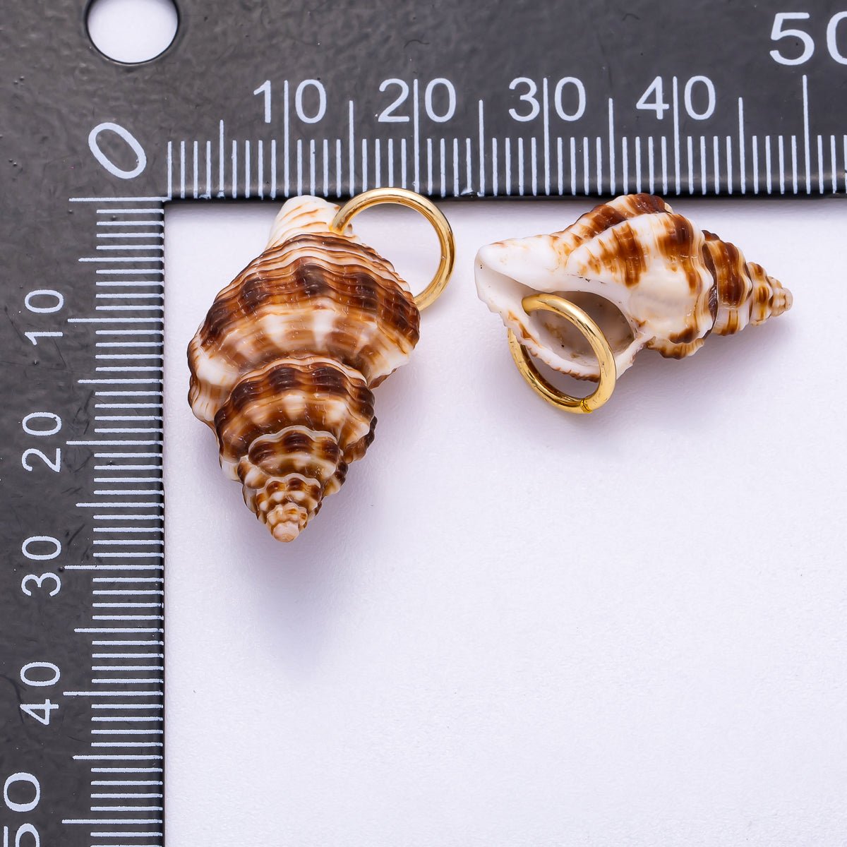 SUMMER 18K Gold Filled 33mm Natural Brown Striped Conch Shell Spiral Charm | Charms-00557