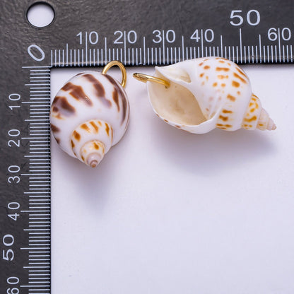 SUMMER 18K Gold Filled 33mm Spotted Conch Shell Charm | Charms-00556